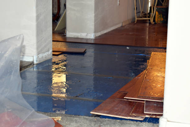 Professional Basement Flood Cleanup technician working in Lake City, FL